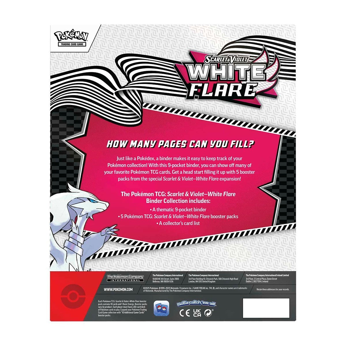 Binder Collection - White Flare Inglês